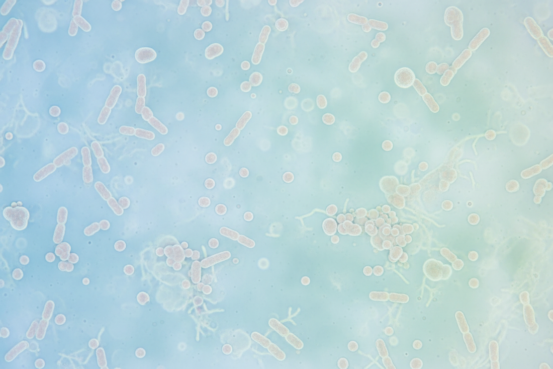 The Science Behind the Cultures We Use